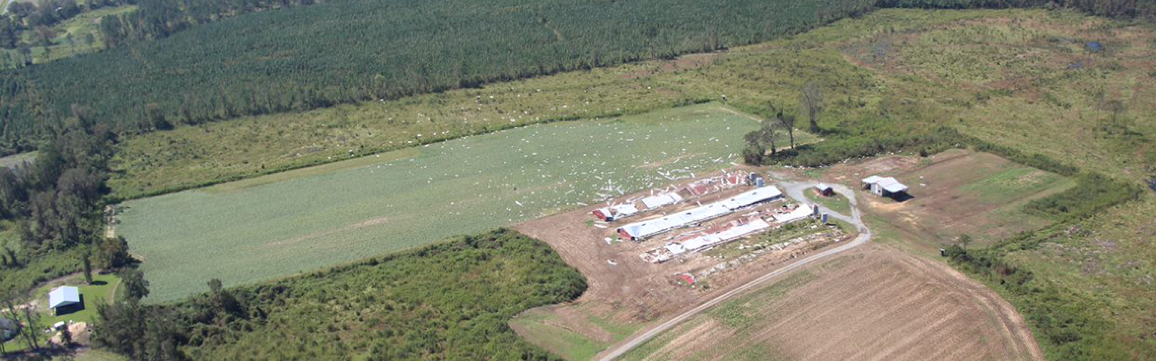 Farm with wind damage